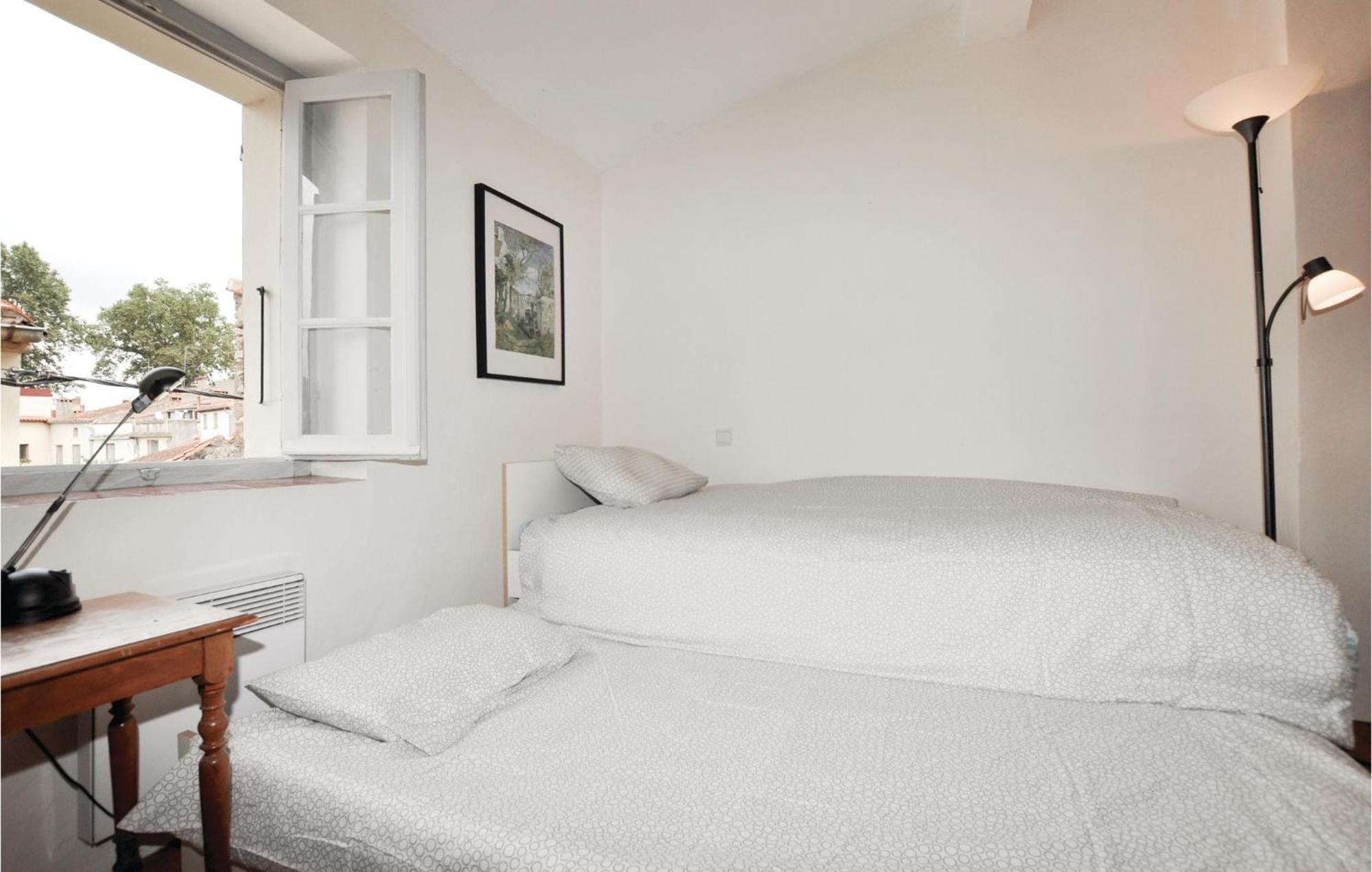 Amazing Home In Ceret With Wifi מראה חיצוני תמונה